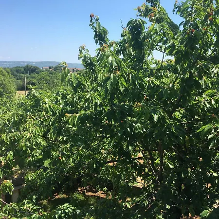 House Catela Casa de Férias *